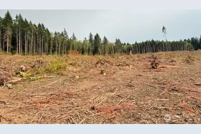 118 Woodberry Lane, Winlock, WA 98596 - Photo 4