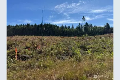 118 Woodberry Lane, Winlock, WA 98596 - Photo 12