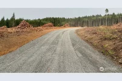 118 Woodberry Lane, Winlock, WA 98596 - Photo 6