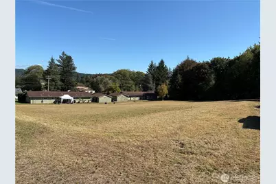 0 Clement Road, Raymond, WA 98577 - Photo 1