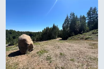 3 Xxxx Mt Jupiter Road, Brinnon, WA 98320 - Photo 10