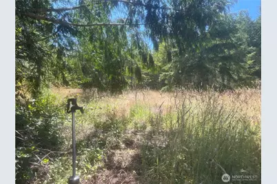 3 Xxxx Mt Jupiter Road, Brinnon, WA 98320 - Photo 28