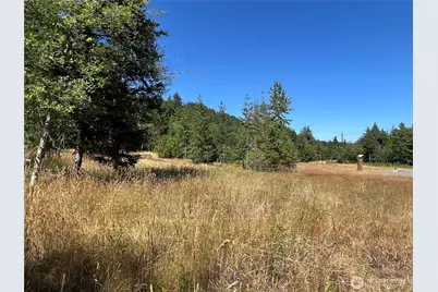 3 Xxxx Mt Jupiter Road, Brinnon, WA 98320 - Photo 4