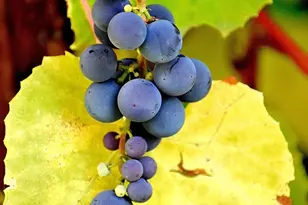 28220 71st Dr NW, Stanwood, WA 98292 - Photo 38