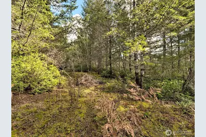 131 E Skyview Drive, Union, WA 98592 - Photo 10