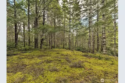 131 E Skyview Drive, Union, WA 98592 - Photo 8