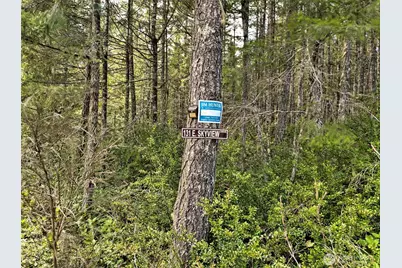 131 E Skyview Drive, Union, WA 98592 - Photo 4