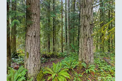 10618 Kelly Road NE, Carnation, WA 98014 - Photo 12