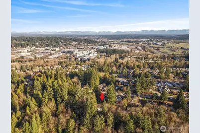 7337 151st Avenue NE, Redmond, WA 98052 - Photo 36