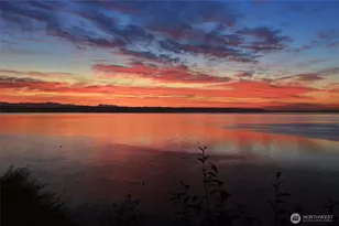 211 Arbor Terrace, Camano Island, WA 98282 - Photo 4