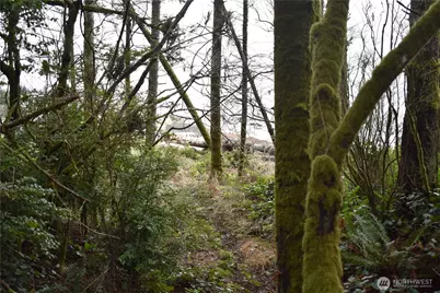 781 Mariner Court SE, Ocean Shores, WA 98569 - Photo 8