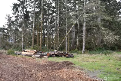 781 Mariner Court SE, Ocean Shores, WA 98569 - Photo 4