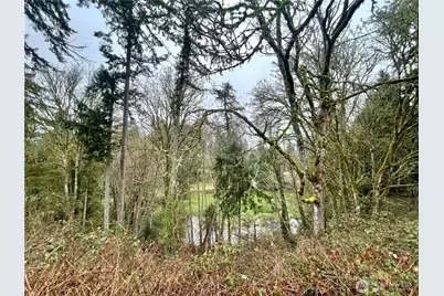 0 Edgewater Drive SW, Lakewood, WA 98499 - Photo 10