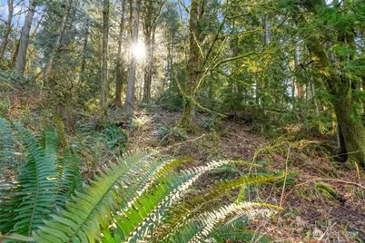 0 Talmo Drive NW, Gig Harbor, WA 98332 - Photo 12