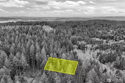 12613 Camus Road, Anderson Island, WA 98303 - Photo 1