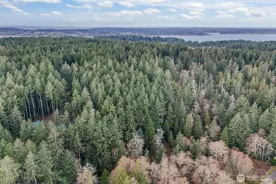 12613 Camus Road, Anderson Island, WA 98303 - Photo 12