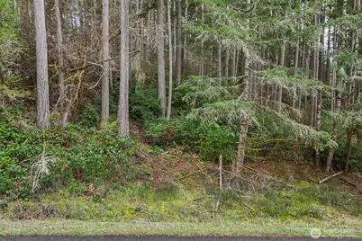 12613 Camus Road, Anderson Island, WA 98303 - Photo 16