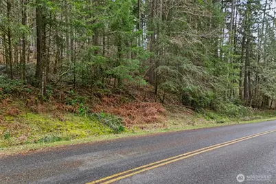 12613 Camus Road, Anderson Island, WA 98303 - Photo 14