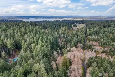 12613 Camus Road, Anderson Island, WA 98303 - Photo 4