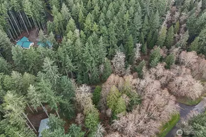 12613 Camus Road, Anderson Island, WA 98303 - Photo 10