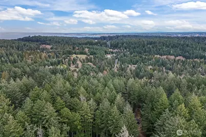 12613 Camus Road, Anderson Island, WA 98303 - Photo 8