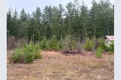 156 Whitney Road, Quilcene, WA 98376 - Photo 10