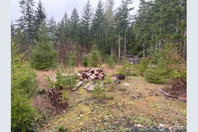 156 Whitney Road, Quilcene, WA 98376 - Photo 8