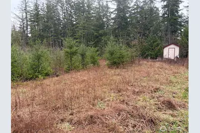 156 Whitney Road, Quilcene, WA 98376 - Photo 28