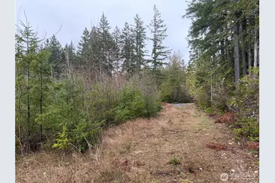 156 Whitney Road, Quilcene, WA 98376 - Photo 30