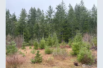 156 Whitney Road, Quilcene, WA 98376 - Photo 36