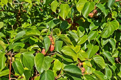 8400 Old Highway 99 SE, Tumwater, WA 98501 - Photo 32