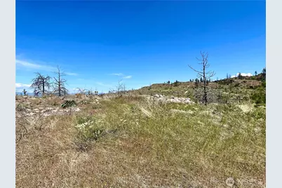 0 Tbd Madd Mtn Road, Okanogan, WA 98840 - Photo 4