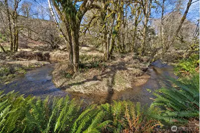 65 Wilderness Road, Oakville, WA 98568 - Photo 32