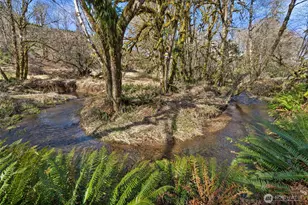 65 Wilderness Rd, Oakville, WA 98568 - Photo 32