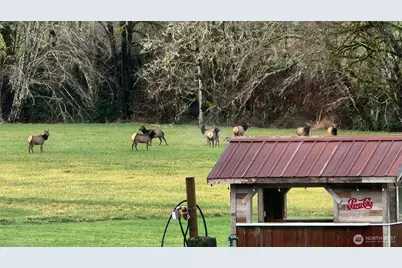 65 Wilderness Road, Oakville, WA 98568 - Photo 36