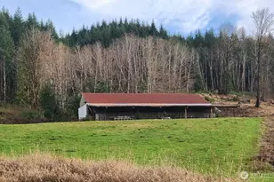 65 Wilderness Rd, Oakville, WA 98568 - Photo 38