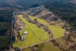 65 Wilderness Rd, Oakville, WA 98568 - Photo 4