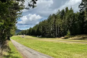 1354 Chinook Way, Center Island, WA 98221 - Photo 28