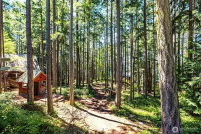 1354 Chinook Way, Center Island, WA 98221 - Photo 22