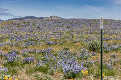 0 Lot 2 Burch Mountain Road, Wenatchee, WA 98801 - Photo 8
