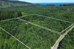 325 Evergreen View Pkwy, Port Angeles, WA 98363 - Photo 38