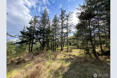 9 Tomihi Drive, Orcas Island, WA 98245 - Photo 16