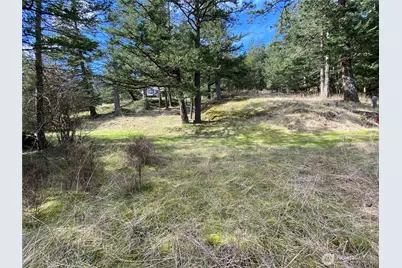 9 Tomihi Drive, Orcas Island, WA 98245 - Photo 24