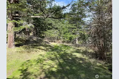 9 Tomihi Drive, Orcas Island, WA 98245 - Photo 20