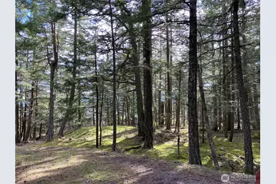 9 Tomihi Drive, Orcas Island, WA 98245 - Photo 26