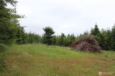 9605 Prather Road SW, Rochester, WA 98579 - Photo 8