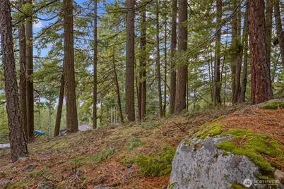 0 Lot 12 Pine Loch Sun Drive, Ronald, WA 98940 - Photo 10