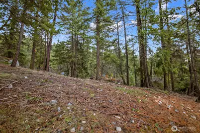 0 Lot 12 Pine Loch Sun Drive, Ronald, WA 98940 - Photo 8