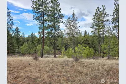 315 W Corral Drive, Oroville, WA 98844 - Photo 8