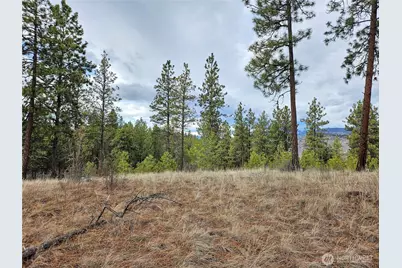 315 W Corral Drive, Oroville, WA 98844 - Photo 10